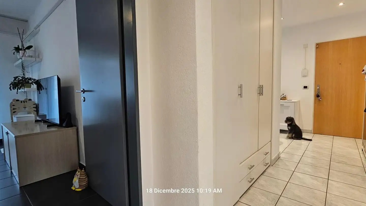 Apartment for sale - Viale A. Sartori 6a, 6512 Giubiasco - Photo 3