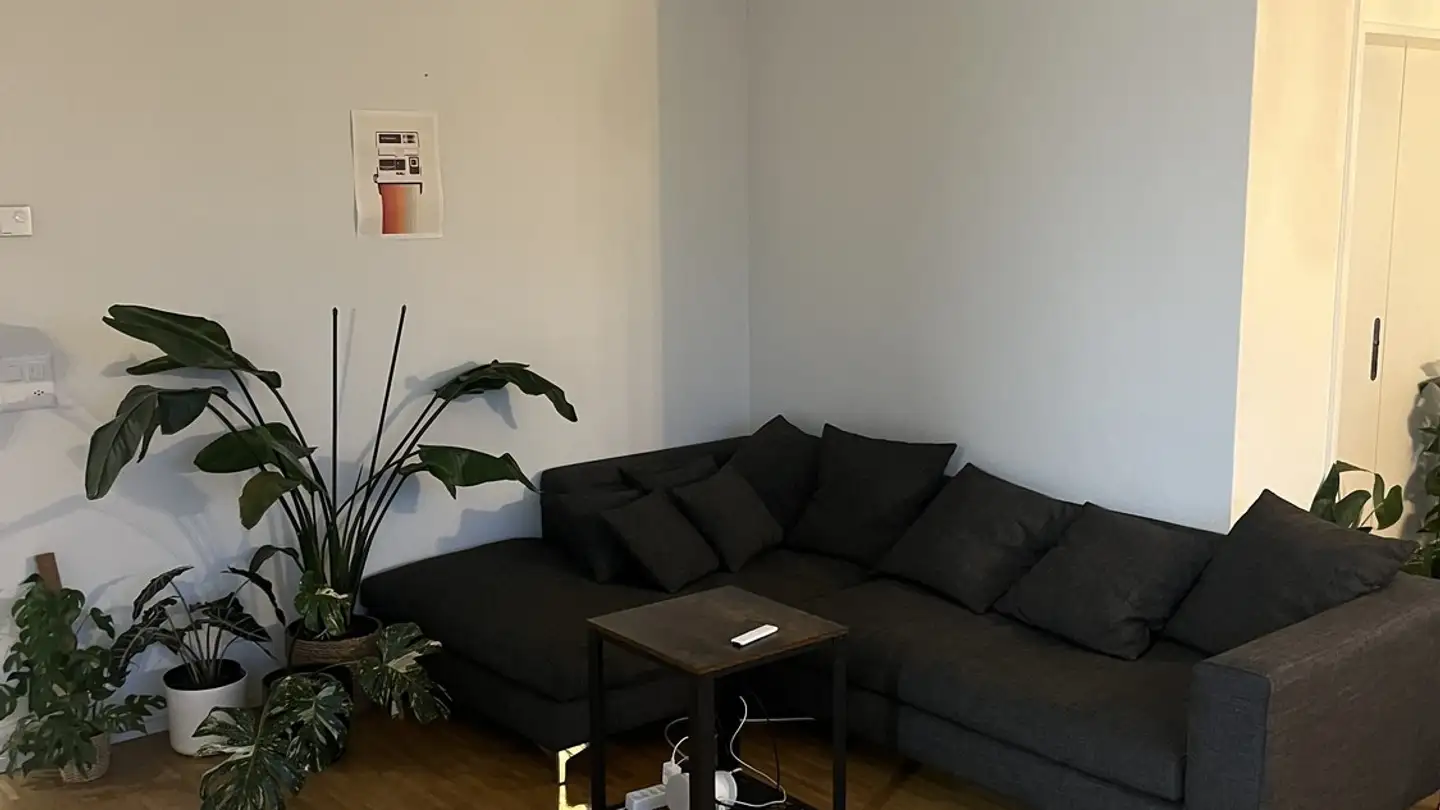 Chambre à louer - 8057 Zürich - Photo 2