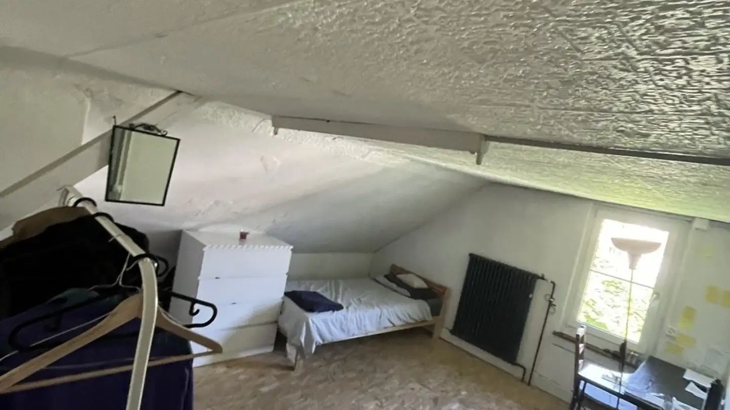Single room for rent - Alte Römerstrasse 20, 8404 Winterthur - Photo 3