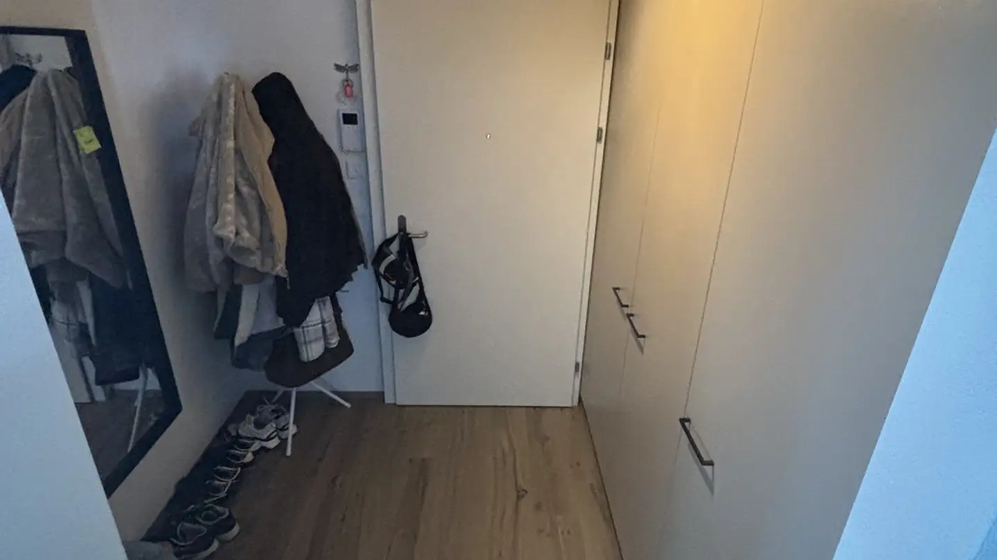 Appartamento in affitto - Mooswiesenweg 3, 8404 Winterthur - Foto 4