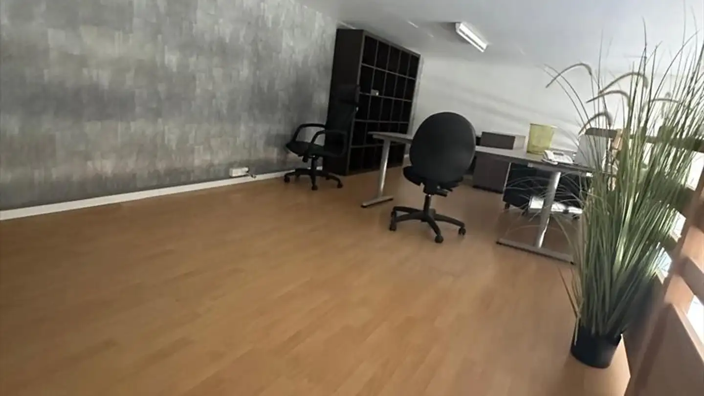 Commerciale in affitto - 1897 Bouveret - Foto 3