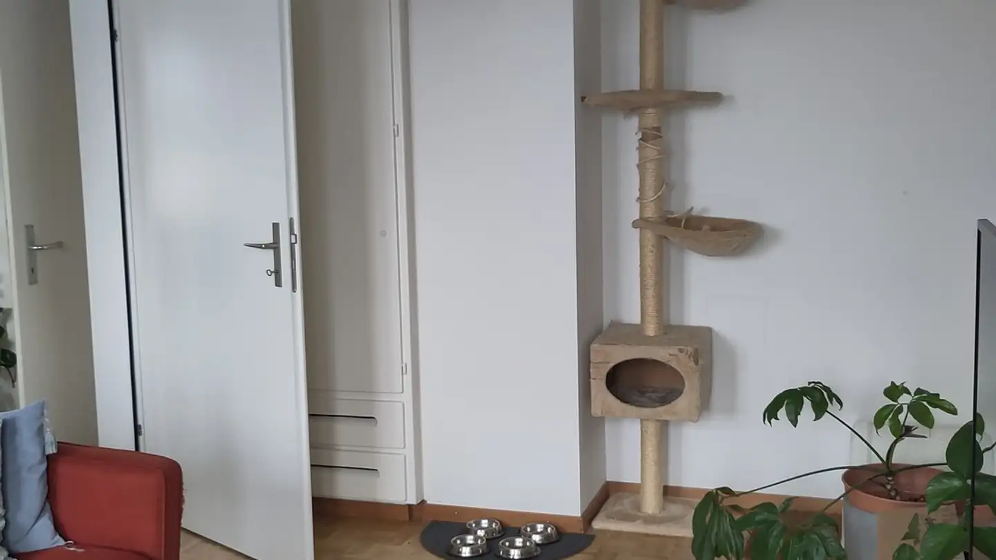 Wohnung mieten - Dornacherstrasse 8, 4600 Olten - Foto 3