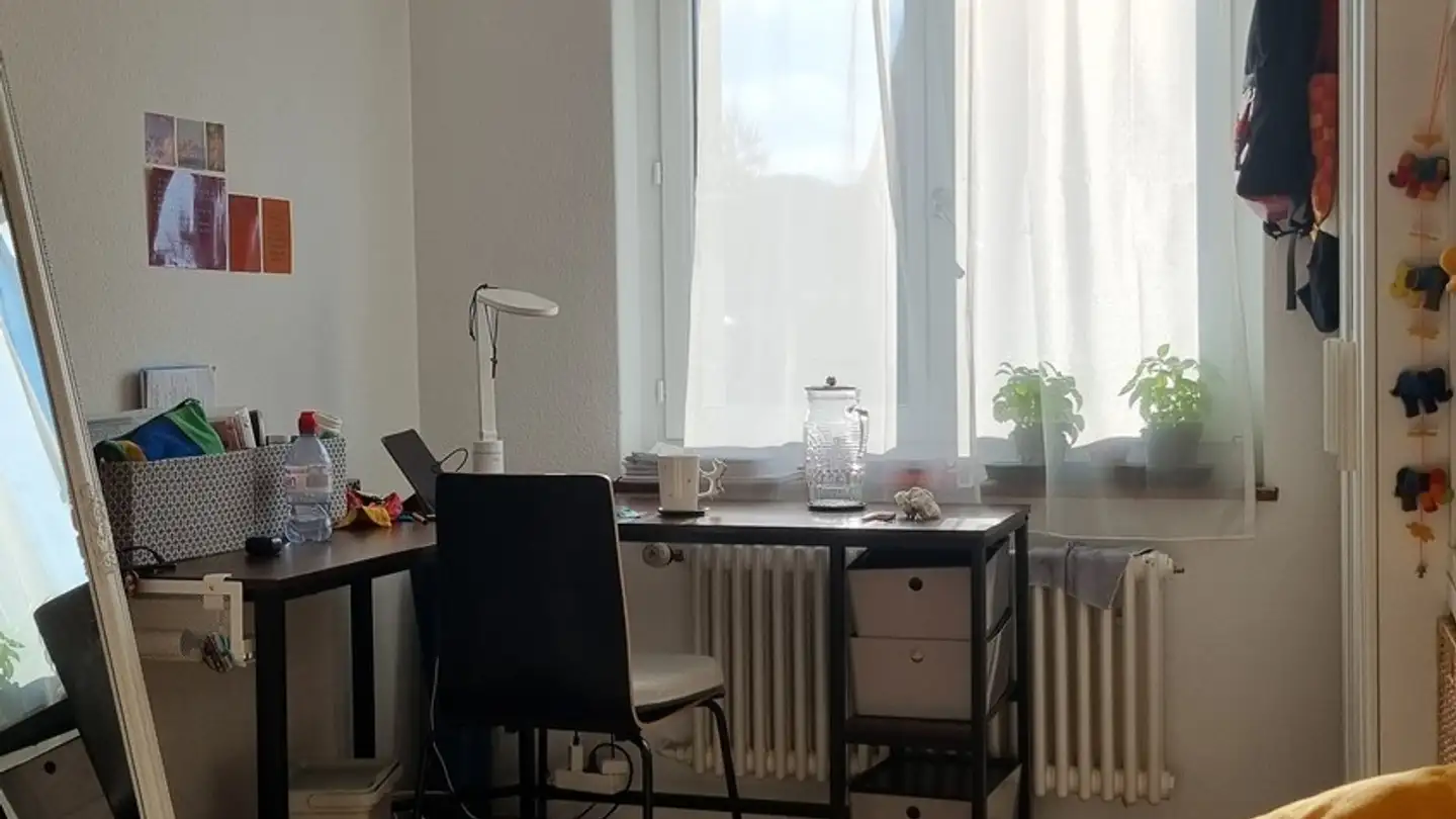 Stanza singola in affitto - 8046 Zürich - Foto 3