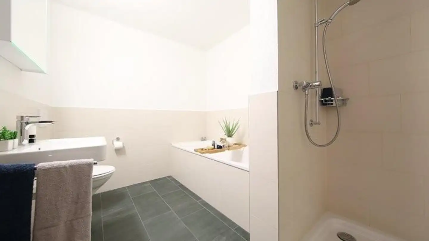 Apartment for rent - Heidenlochstrasse 94, 4410 Liestal - Photo 4