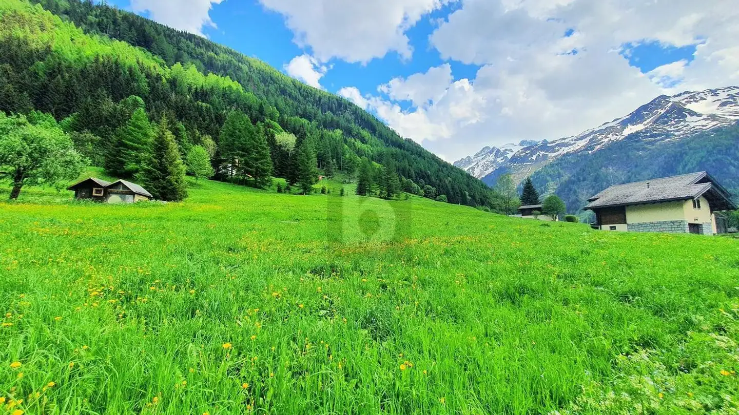 Constructible plot for sale - 1929 Trient