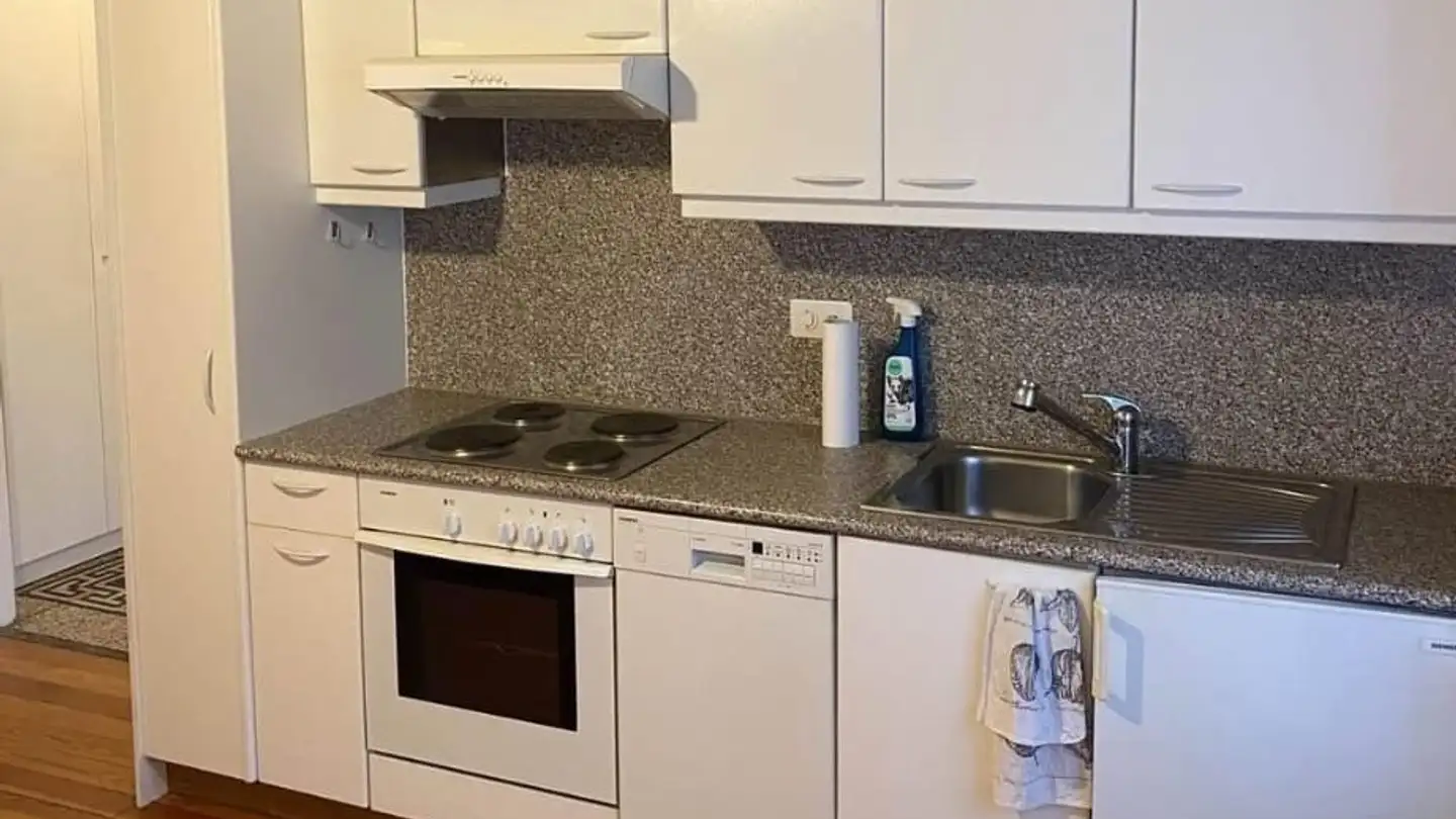 Wohnung mieten - Stráda Dra Pésa, 6968 Sonvico - Foto 2