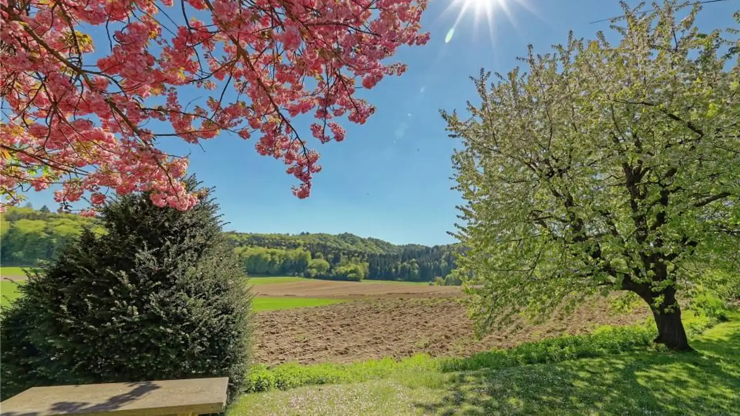 Maison individuelle à vendre - Vorderer Hubel 19, 3323 Bäriswil BE - Photo 2