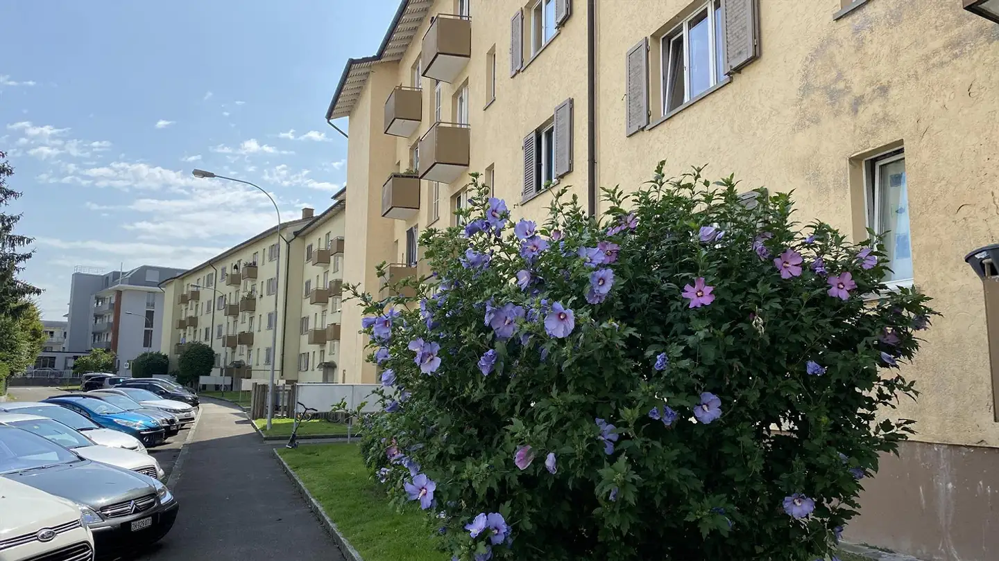 Appartement à louer - Badenerstrasse 46, 8952 Schlieren