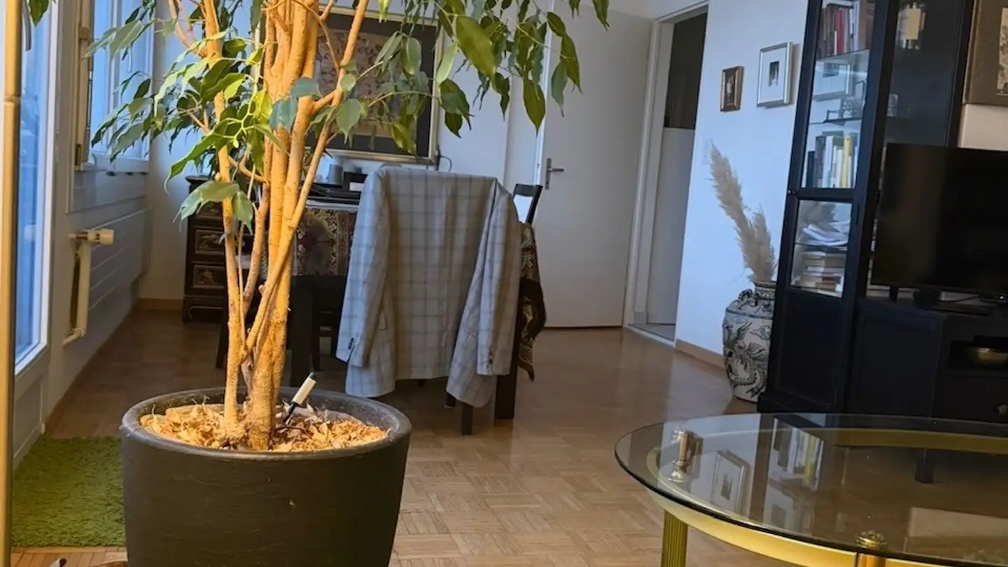 Single room for rent - Bahnhofstrasse 16, 8172 Niederglatt ZH - Photo 2
