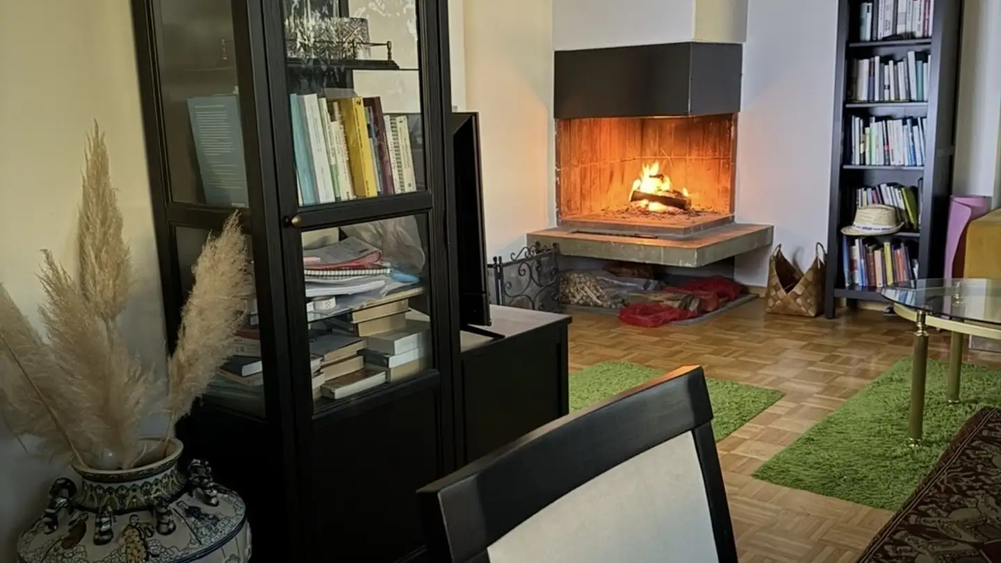 Single room for rent - Bahnhofstrasse 16, 8172 Niederglatt ZH