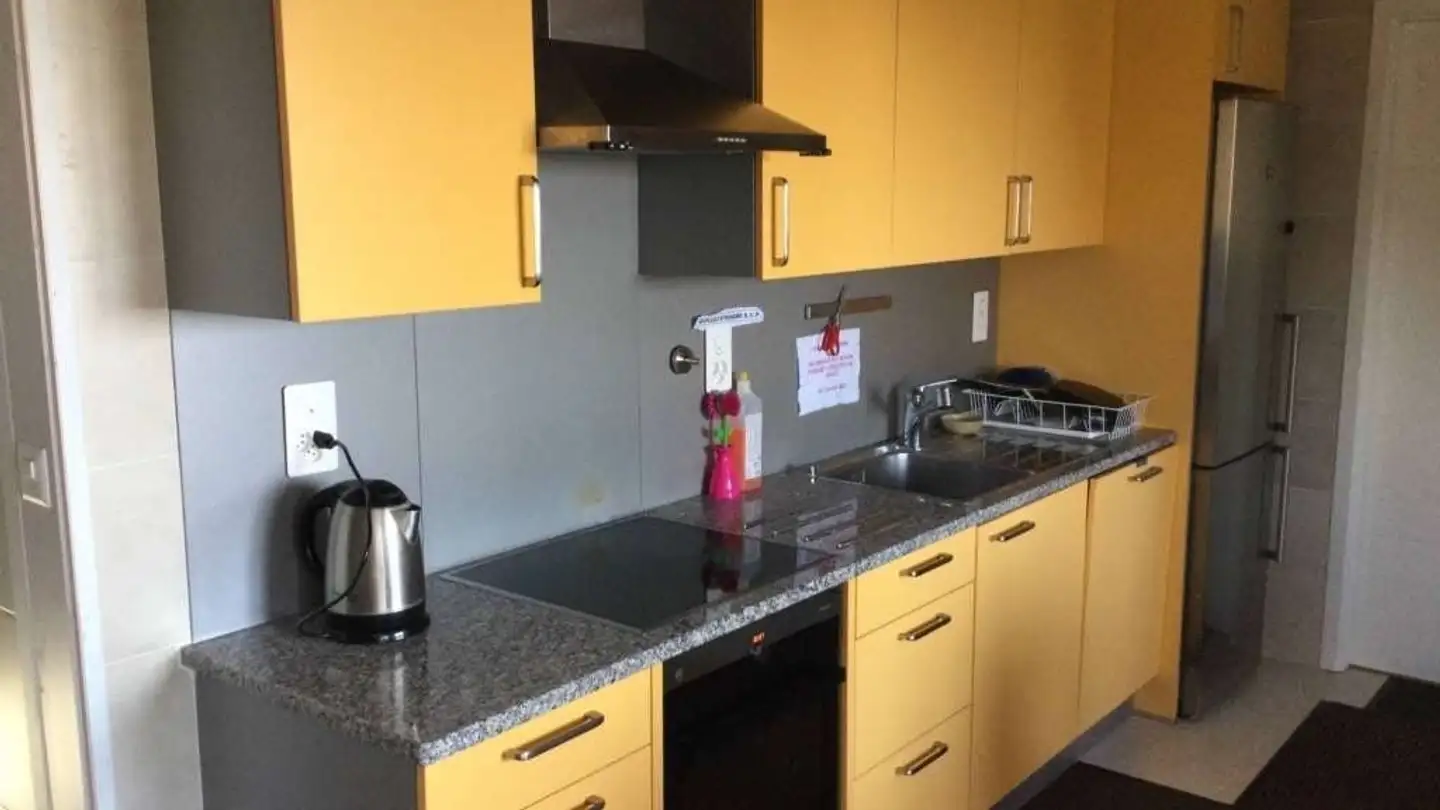 Chambre à louer - Chemin De La Laiterie, 1066 Epalinges - Photo 3