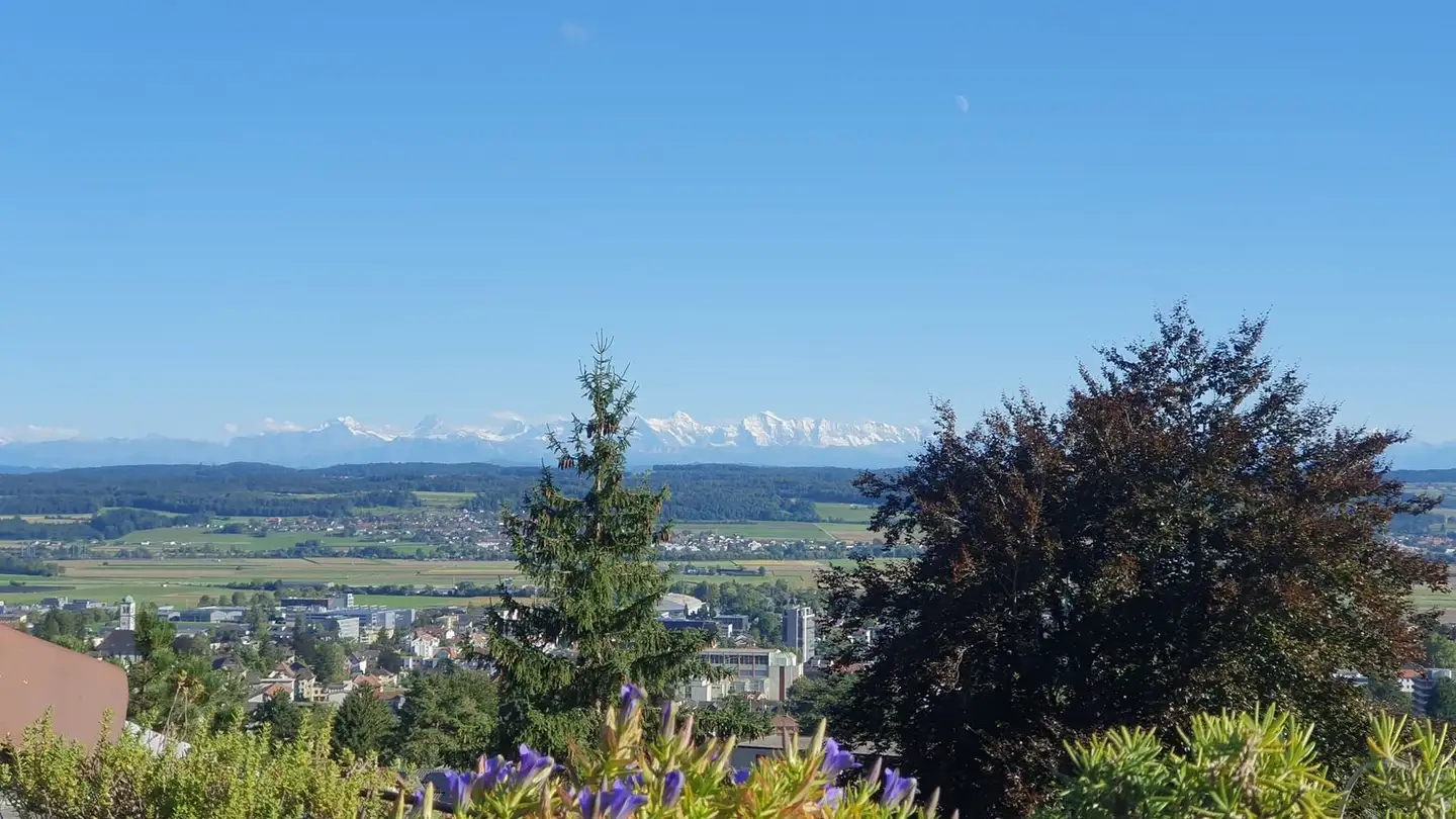 Wohnung kaufen - Fichtenweg, 2540 Grenchen