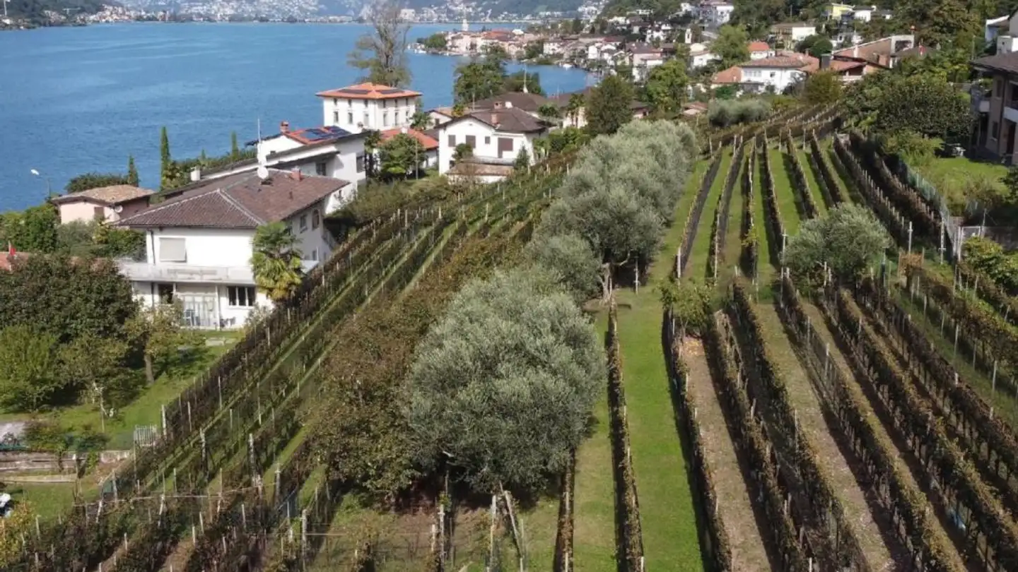 Terrain constructible à vendre - Via San Giorgio, 6827 Brusino Arsizio - Photo 3