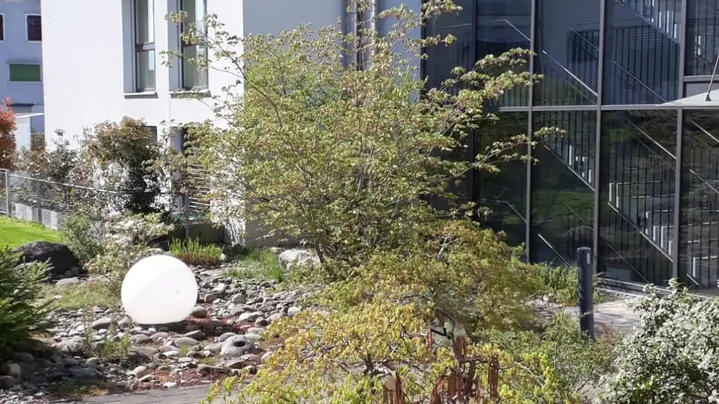 Apartment for rent - Weiherstrasse, 6275 Ballwil