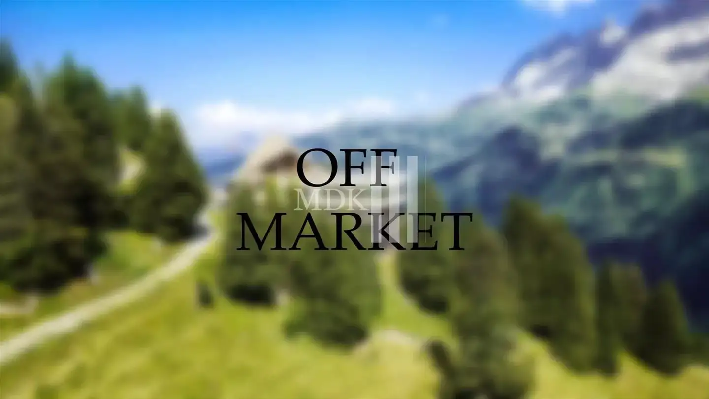 Hotel in vendita - 1874 Champéry - Photo 2