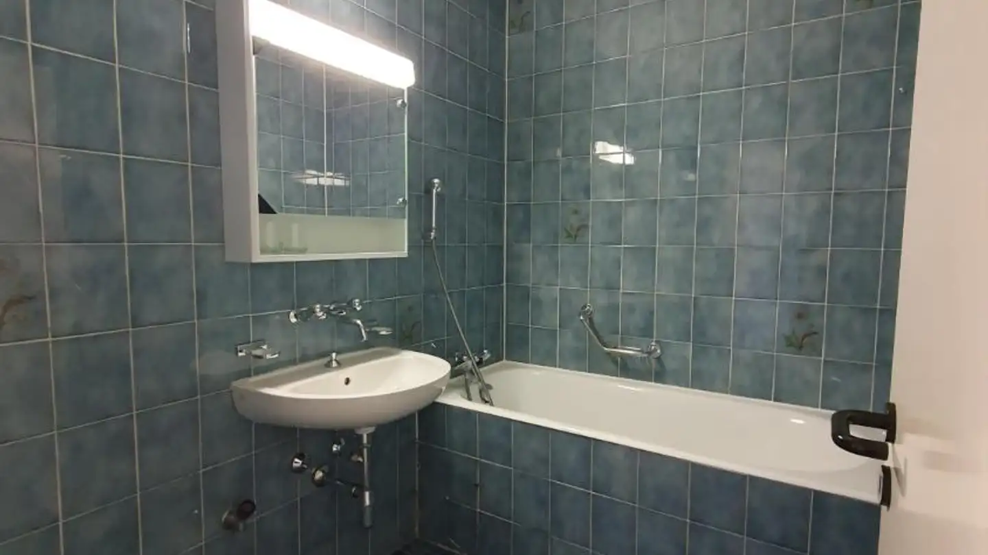 Appartamento in affitto - Quai Du Cheval-Blanc 19, 1227 Les Acacias - Foto 3