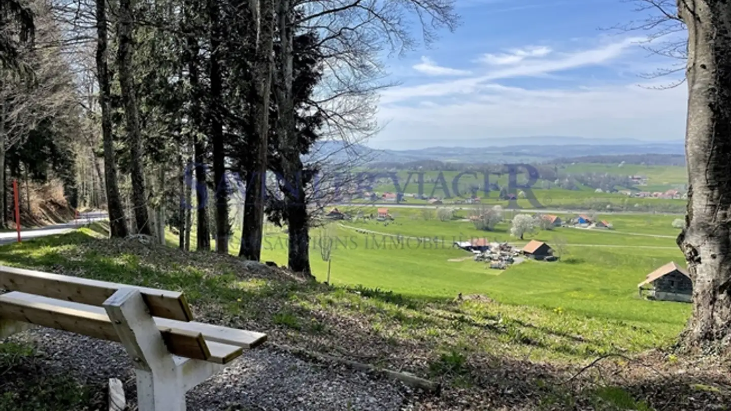 Apartment for sale - Route De La Frasse 265, 1618 Châtel-St-Denis - Photo 2