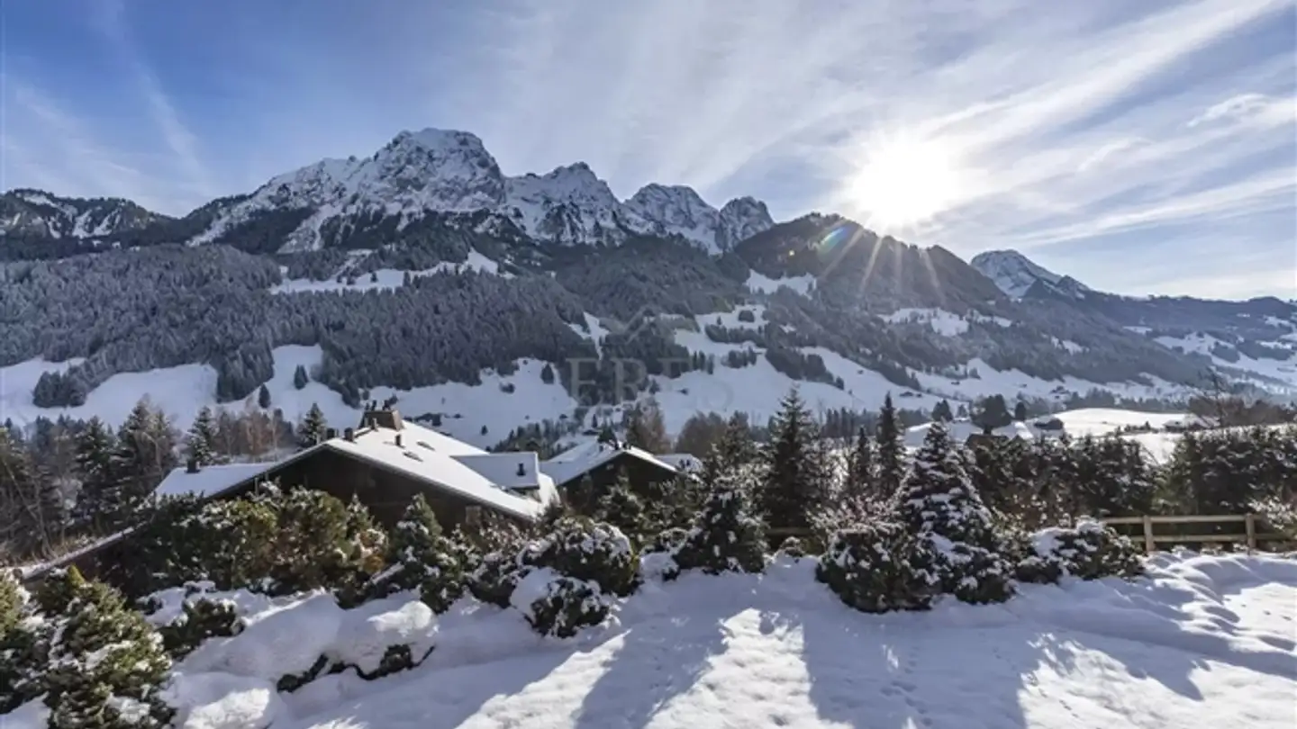 Apartment for rent - 1659 Rougemont