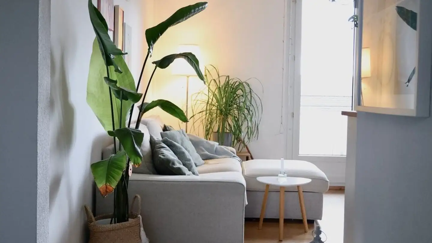 Wohnung mieten - Wildbachstrasse 25, 4500 Solothurn - Foto 3