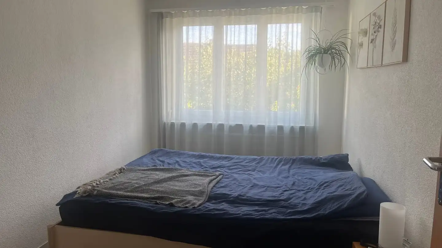 Wohnung mieten - Haldenweg 14, 3250 Lyss - Foto 2