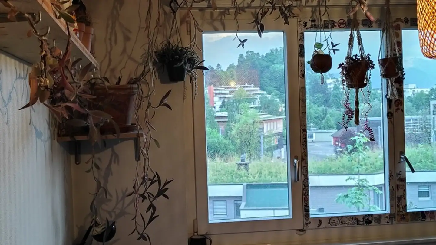 Single room for rent - Schädrütistrasse 14, 6006 Luzern