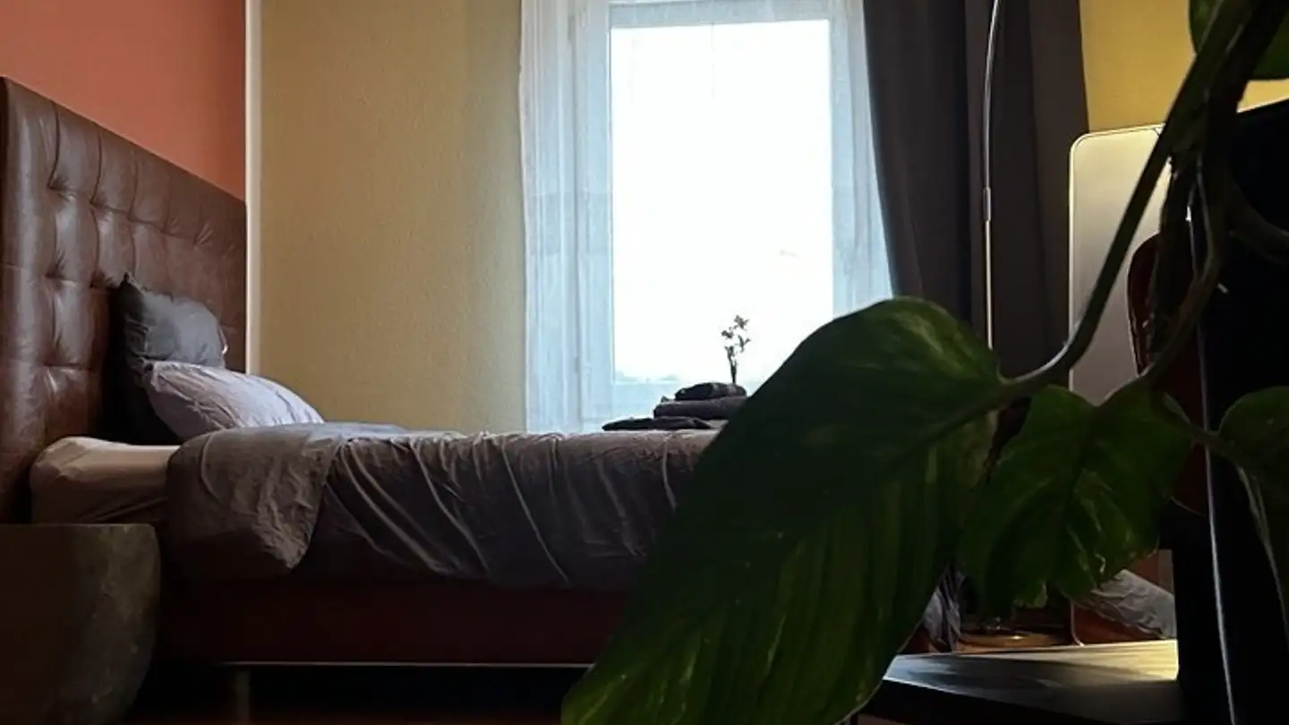 Stanza singola in affitto - 8003 Zürich