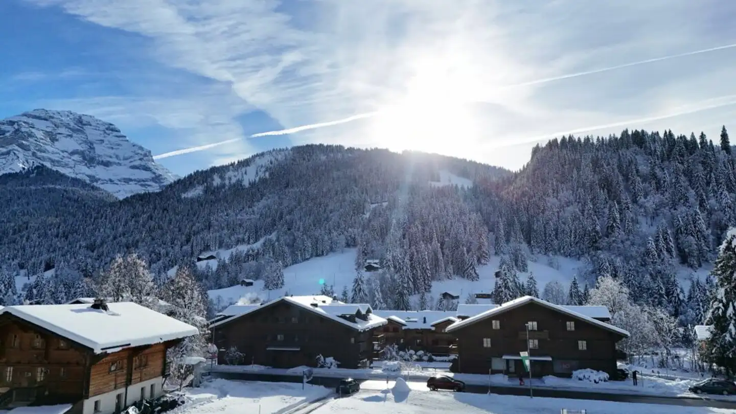 Appartement à vendre - Route Du Pillon 105, 1865 Les Diablerets - Photo 2