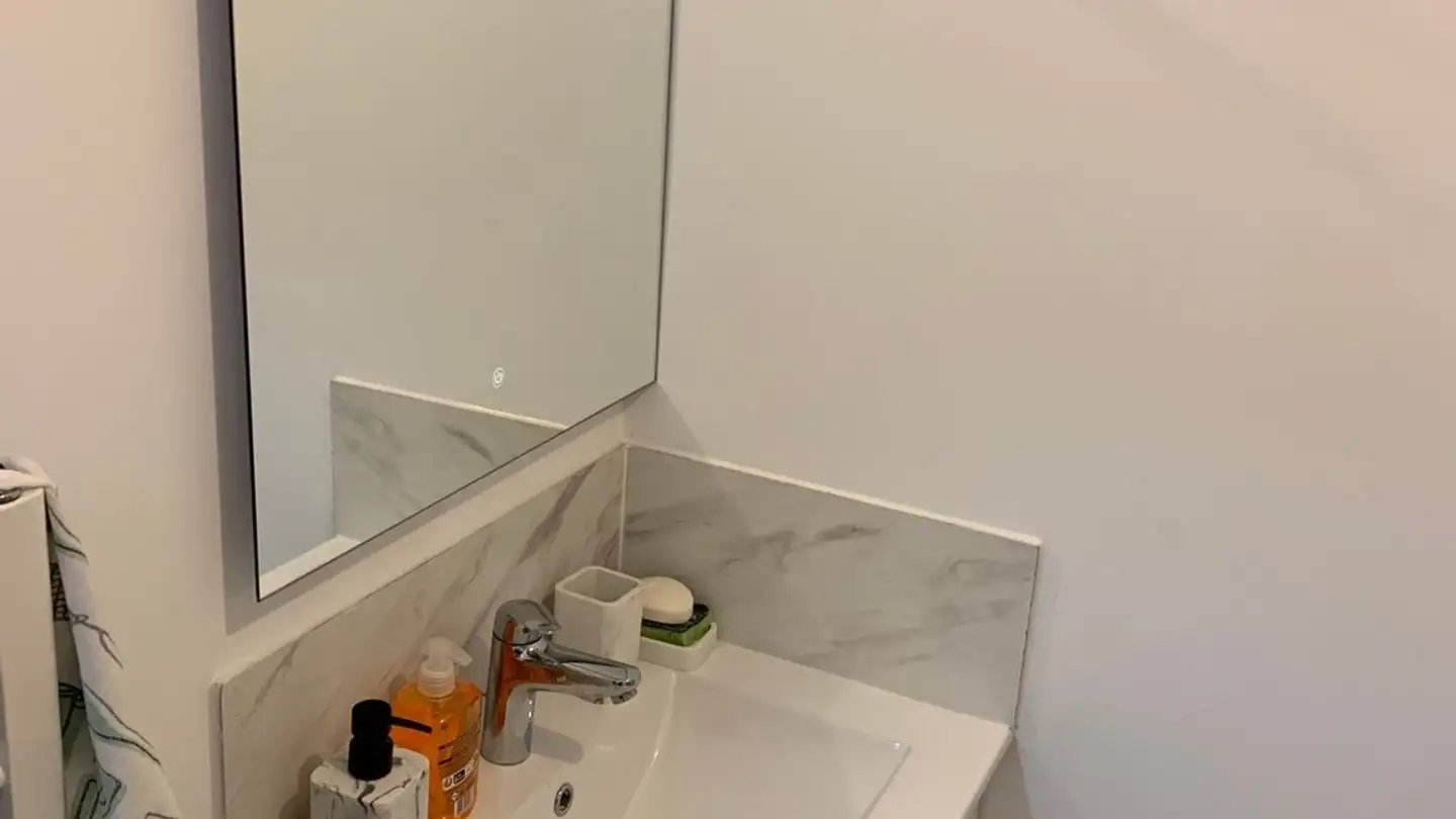 Stanza singola in affitto - 1226 Thônex - Foto 3