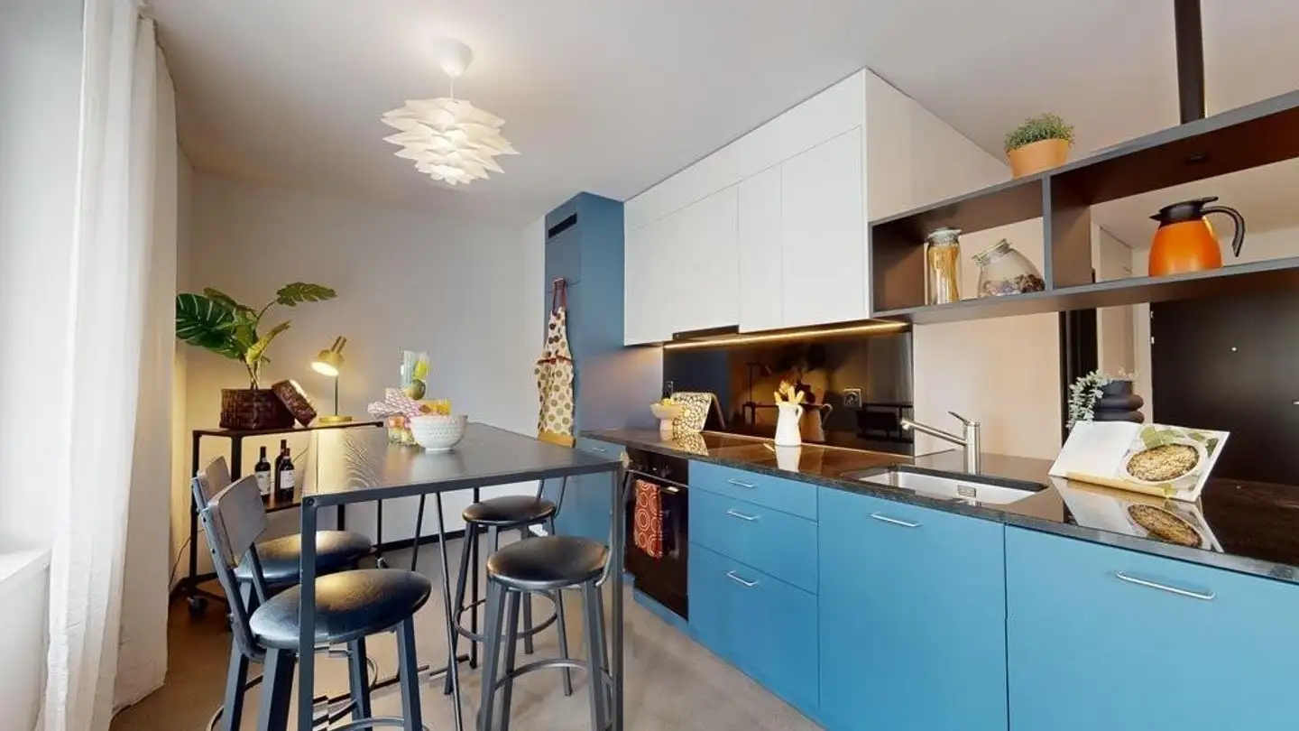 Appartement à louer - Freilagerstrasse 11, 8047 Zürich