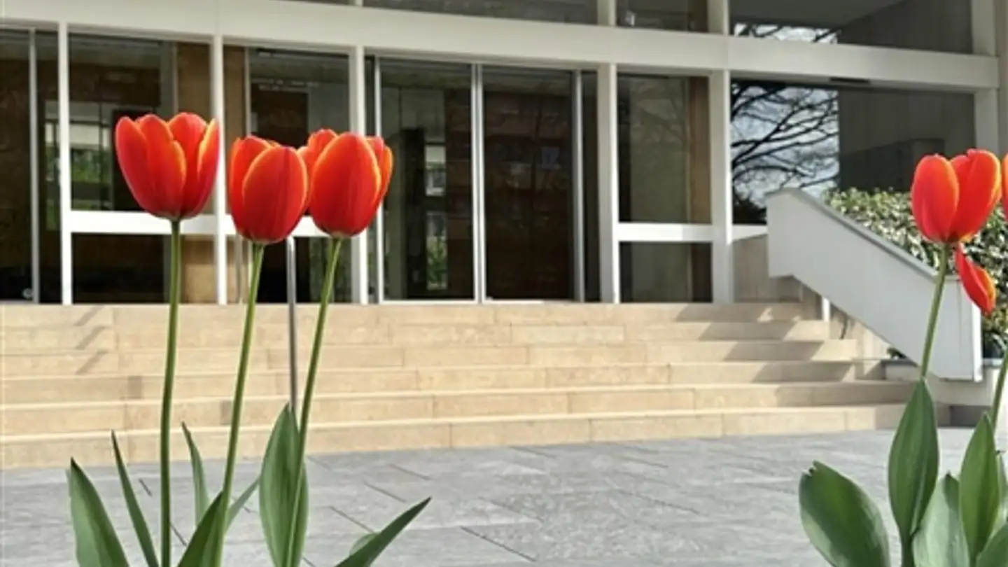 Appartement à louer - 1206 Genève - Photo 2