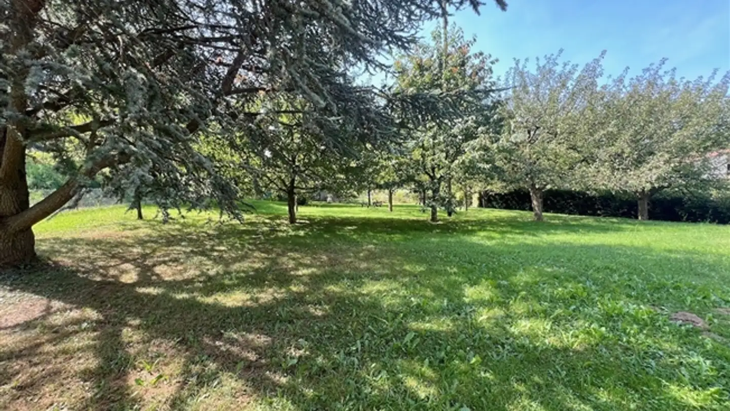 Farm for sale - Chemin De La Faveyre 3, 1509 Vucherens - Photo 4