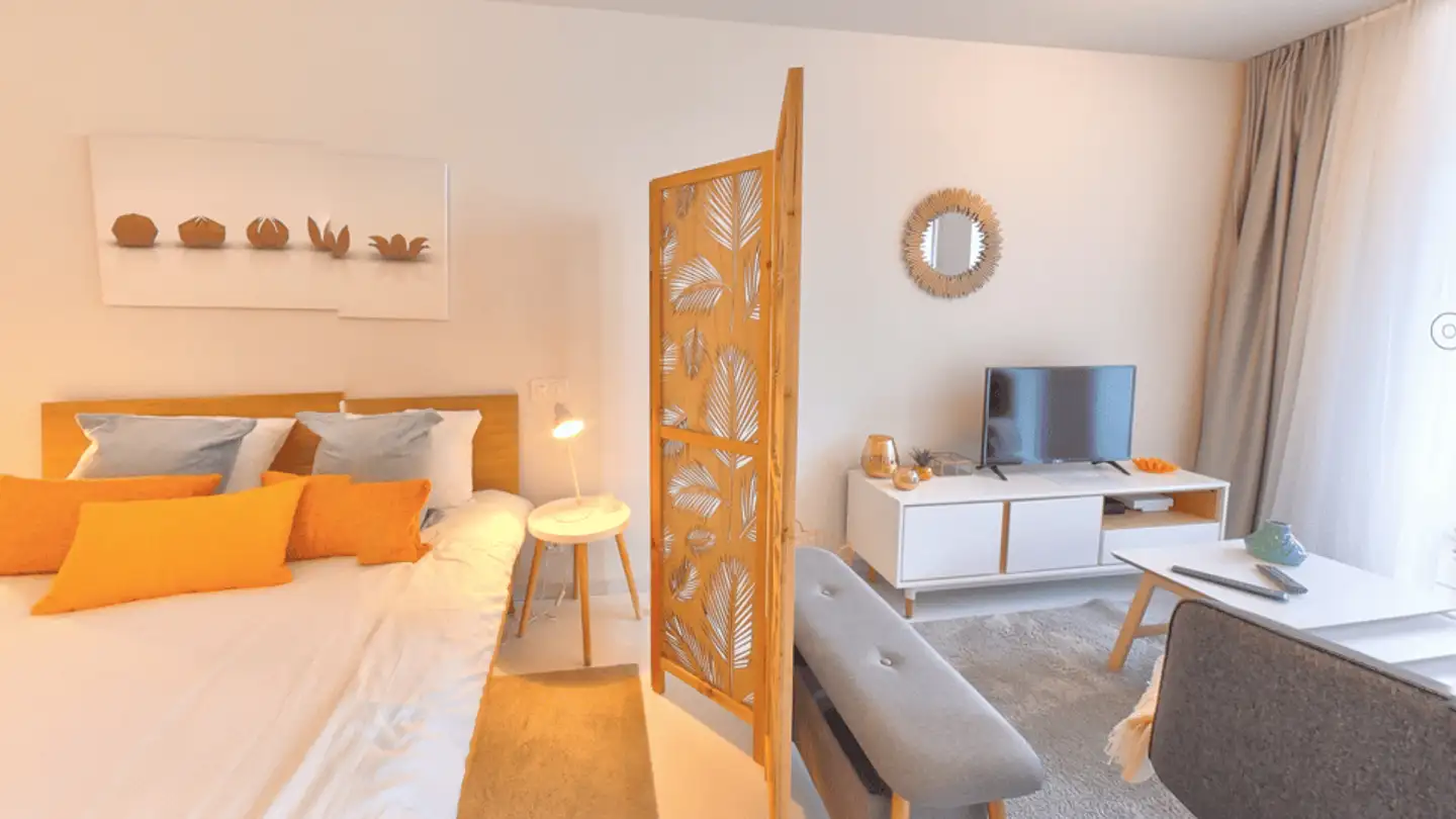 Appartamento in affitto - Rue De La Morâche, 1260 Nyon - Foto 2