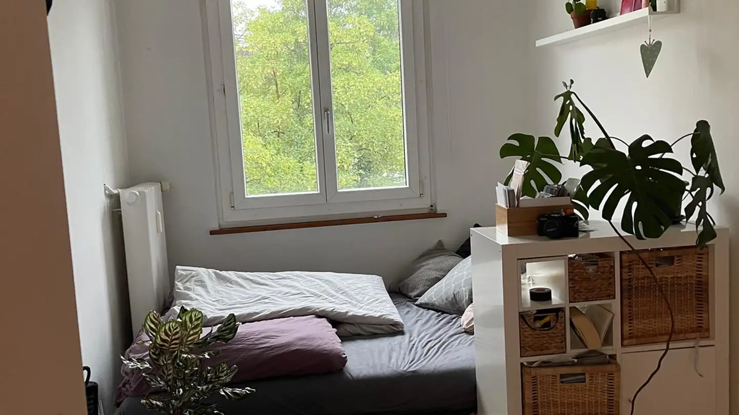 Stanza singola in affitto - Bundesstrasse 19, 6003 Luzern - Foto 2
