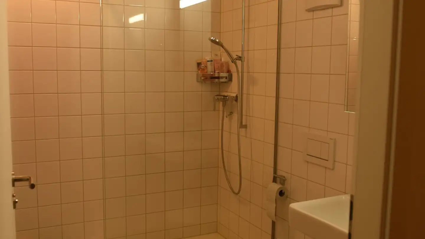 Apartment for rent - Alte Spinnerei 8b, 5210 Windisch - Photo 4