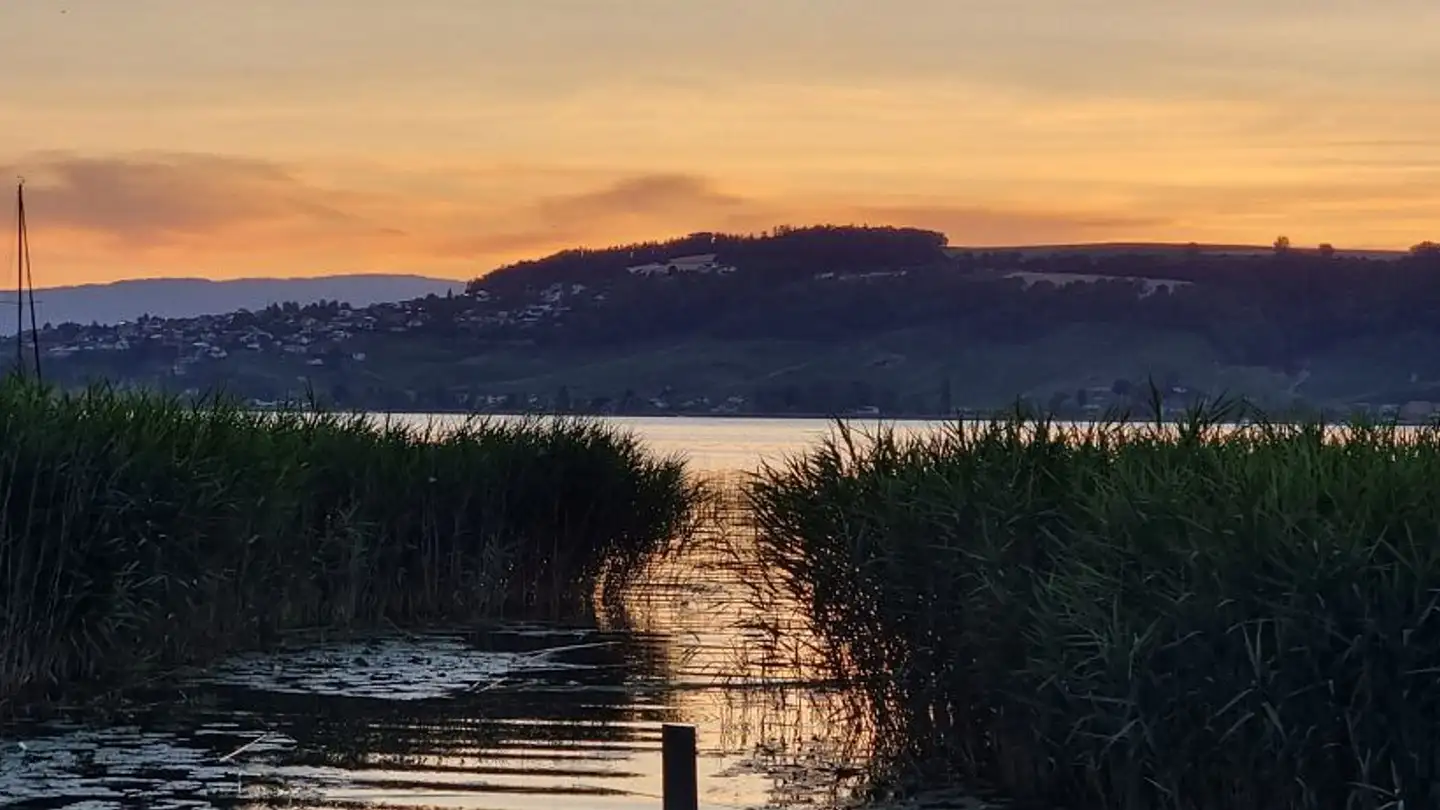 Appartamento in affitto - Bündenweg 16, 3286 Muntelier