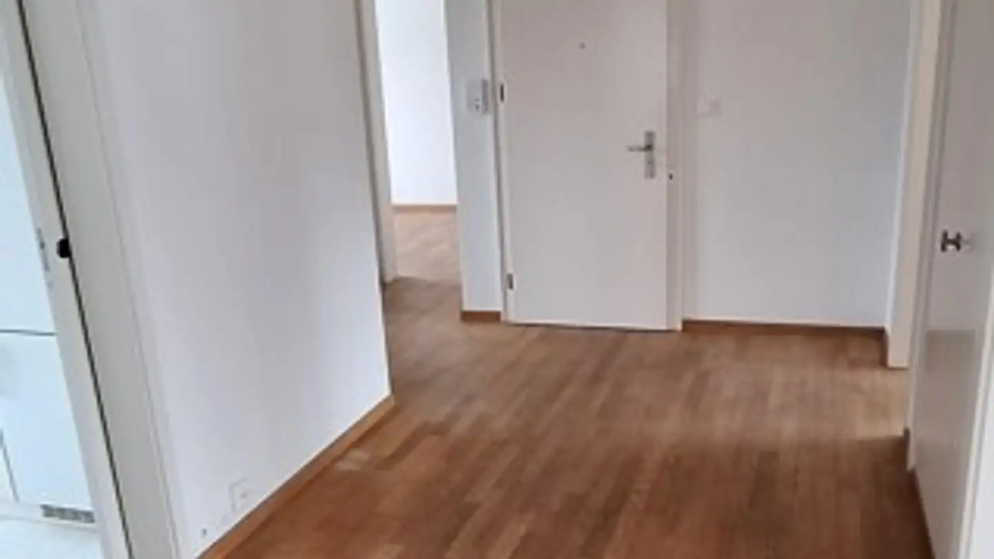 Wohnung mieten - Buchzelgstrasse 88, 8053 Zürich