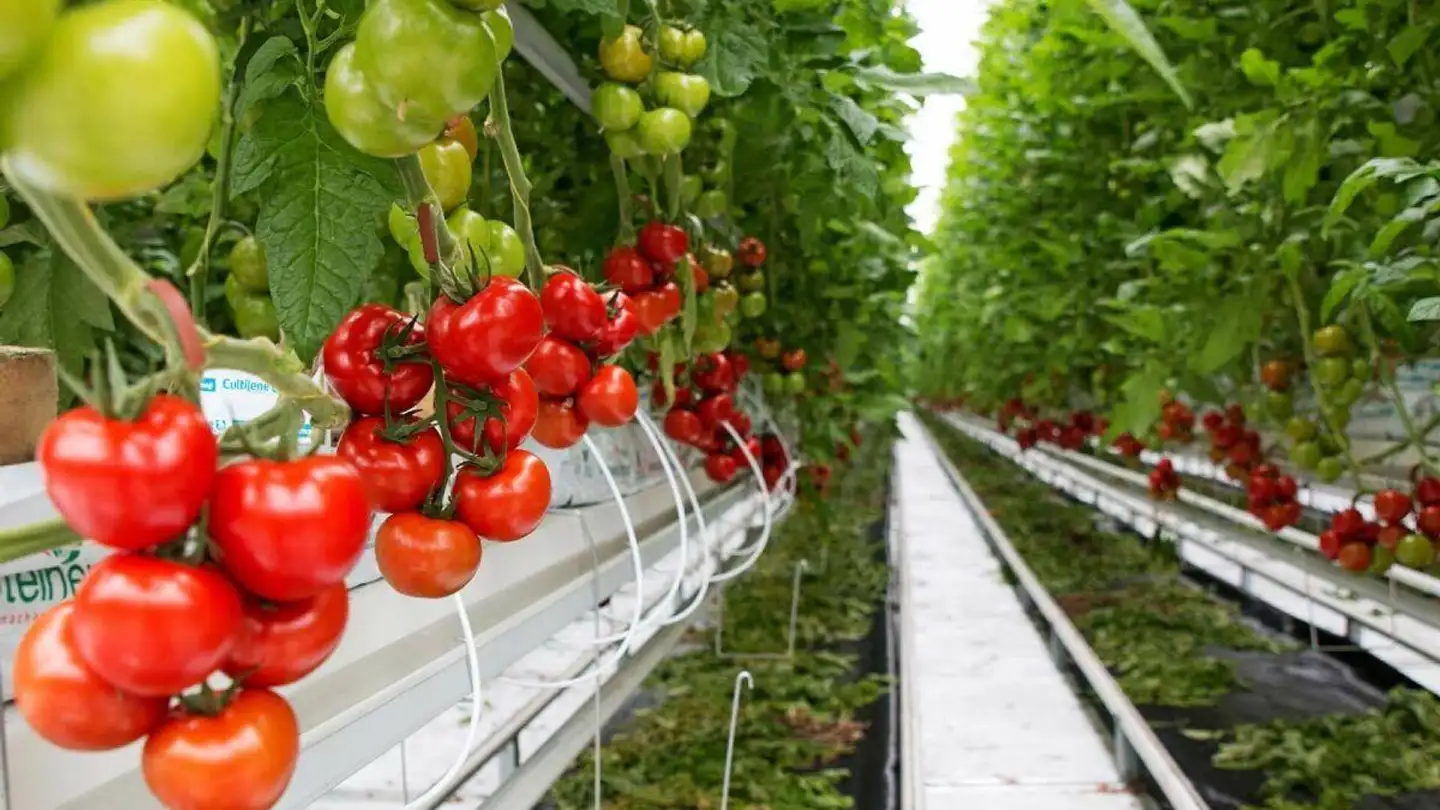 Commercial à vendre - 3073 Gümligen