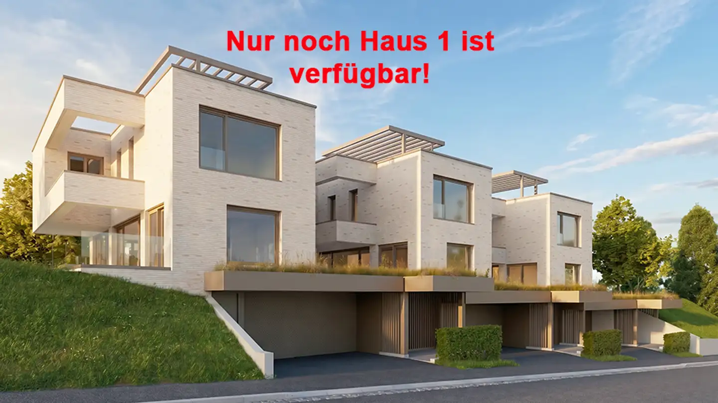 Maison individuelle à vendre - Benkenstrasse, 4102 Binningen
