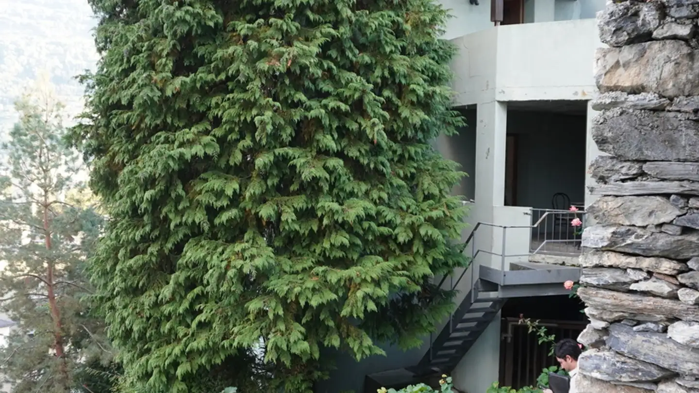 Casa singola in vendita - 1950 Sion - Foto 4