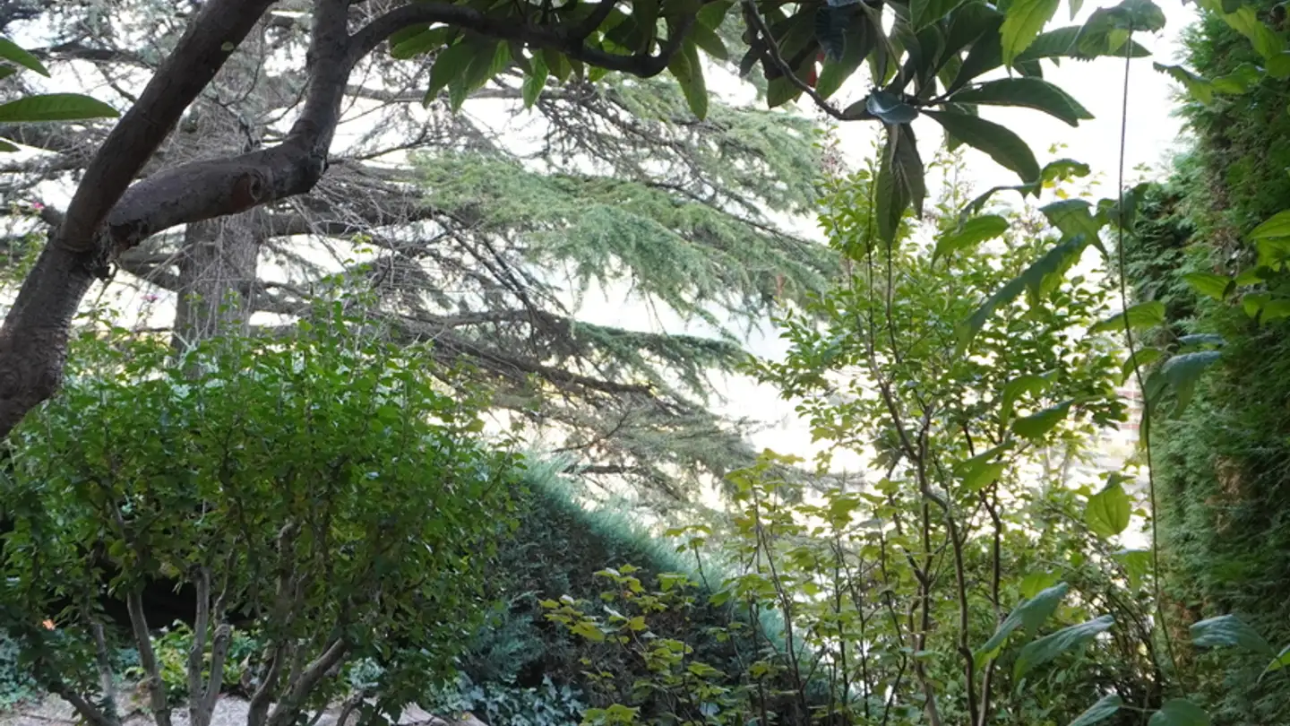 Single house for sale - 1950 Sion - Photo 4