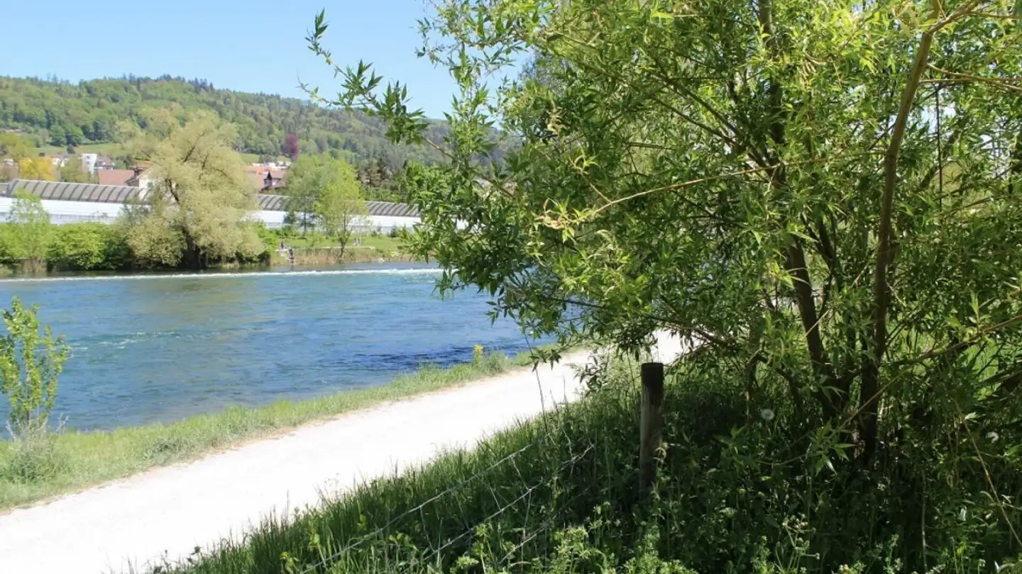 Apartment for sale - Langwisenstrasse 20, 8103 Unterengstringen