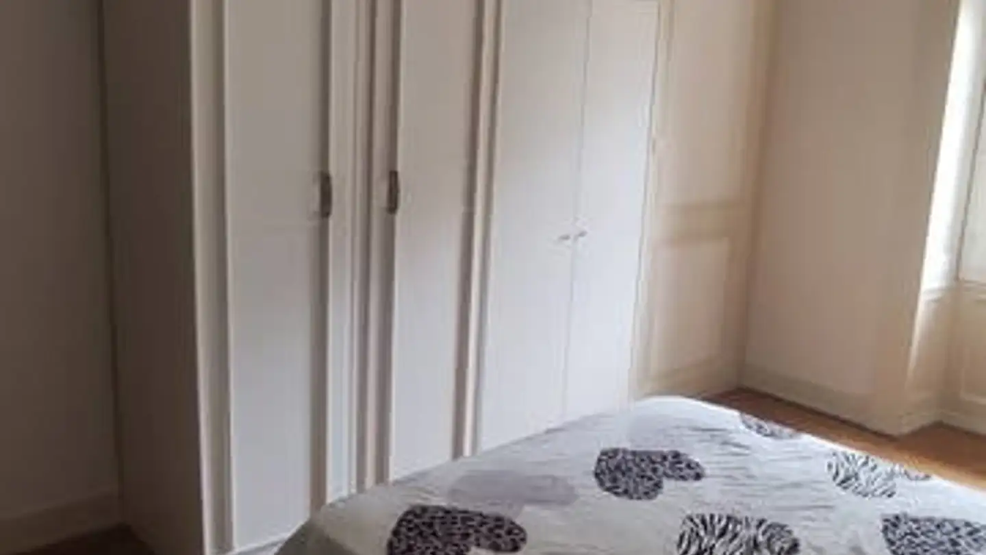 Single room for rent - Rue De Carouge, 1205 Genève - Photo 2