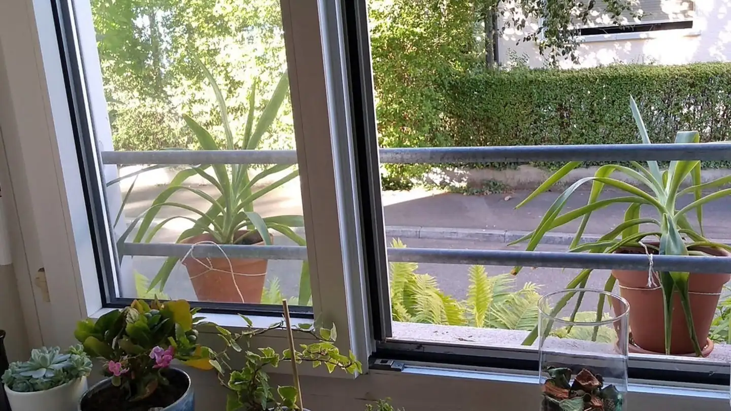 Stanza singola in affitto - 8045 Zürich - Photo 2