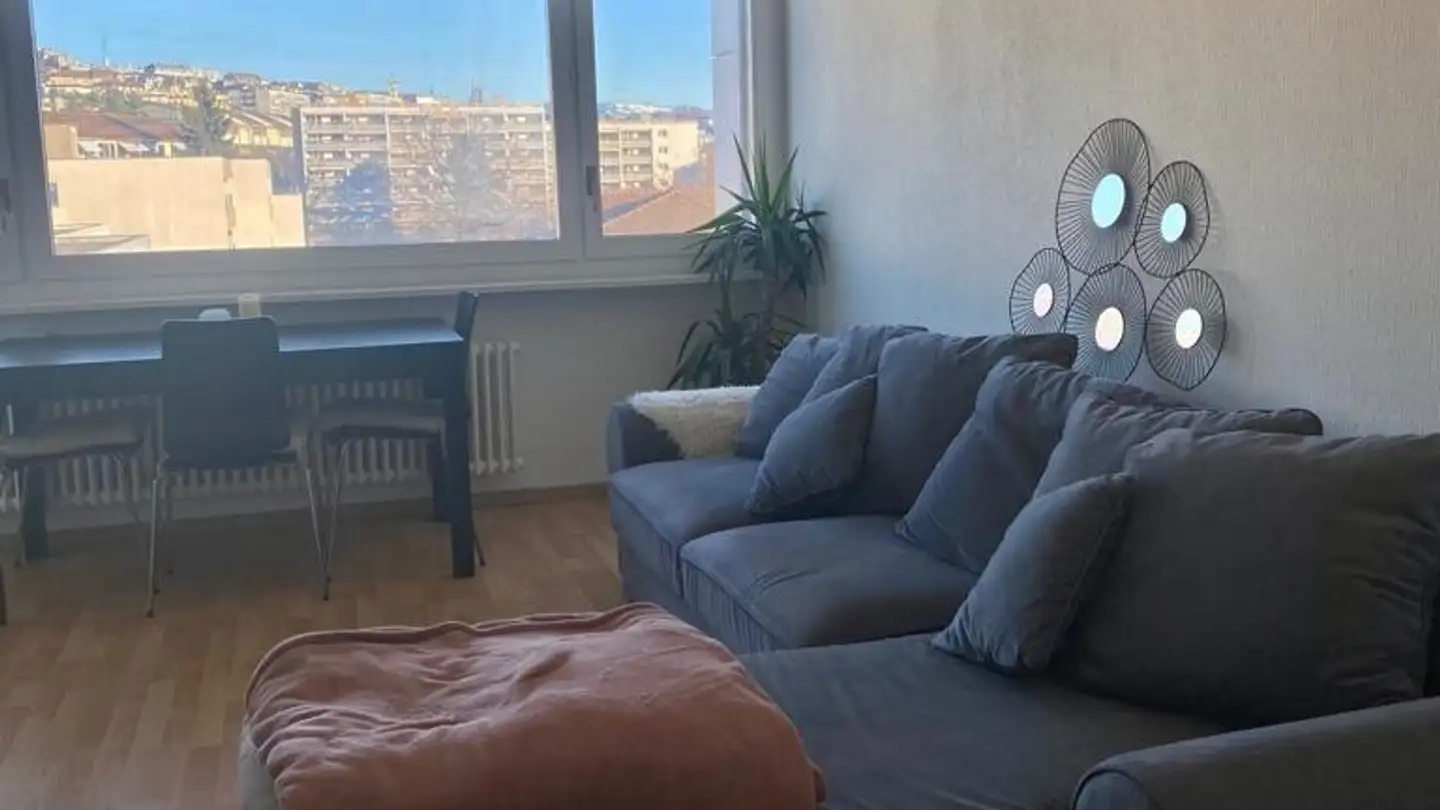 Appartamento in affitto - Chemin Du Martinet, 1007 Lausanne - Foto 2