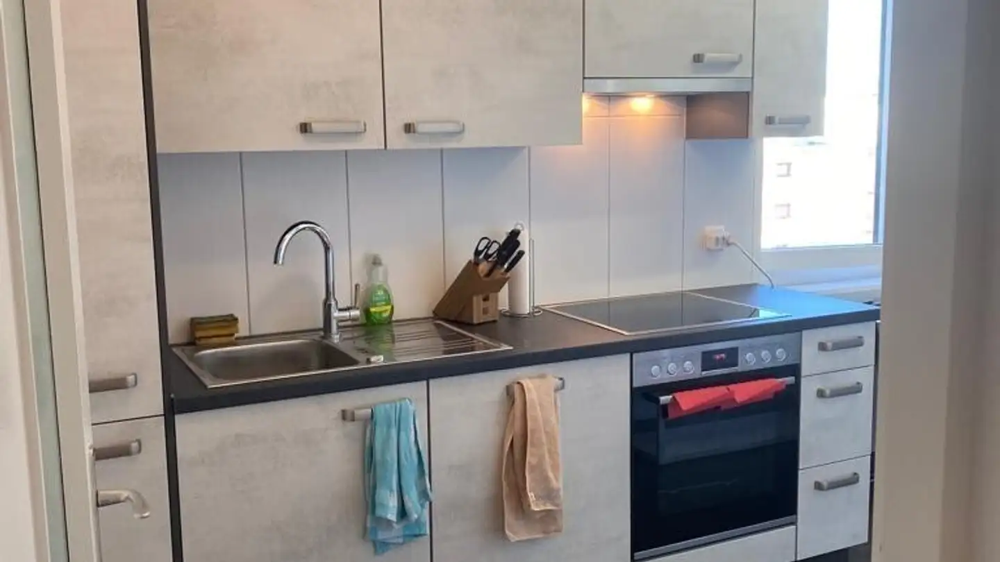 Appartamento in affitto - Chemin Du Martinet, 1007 Lausanne - Foto 4