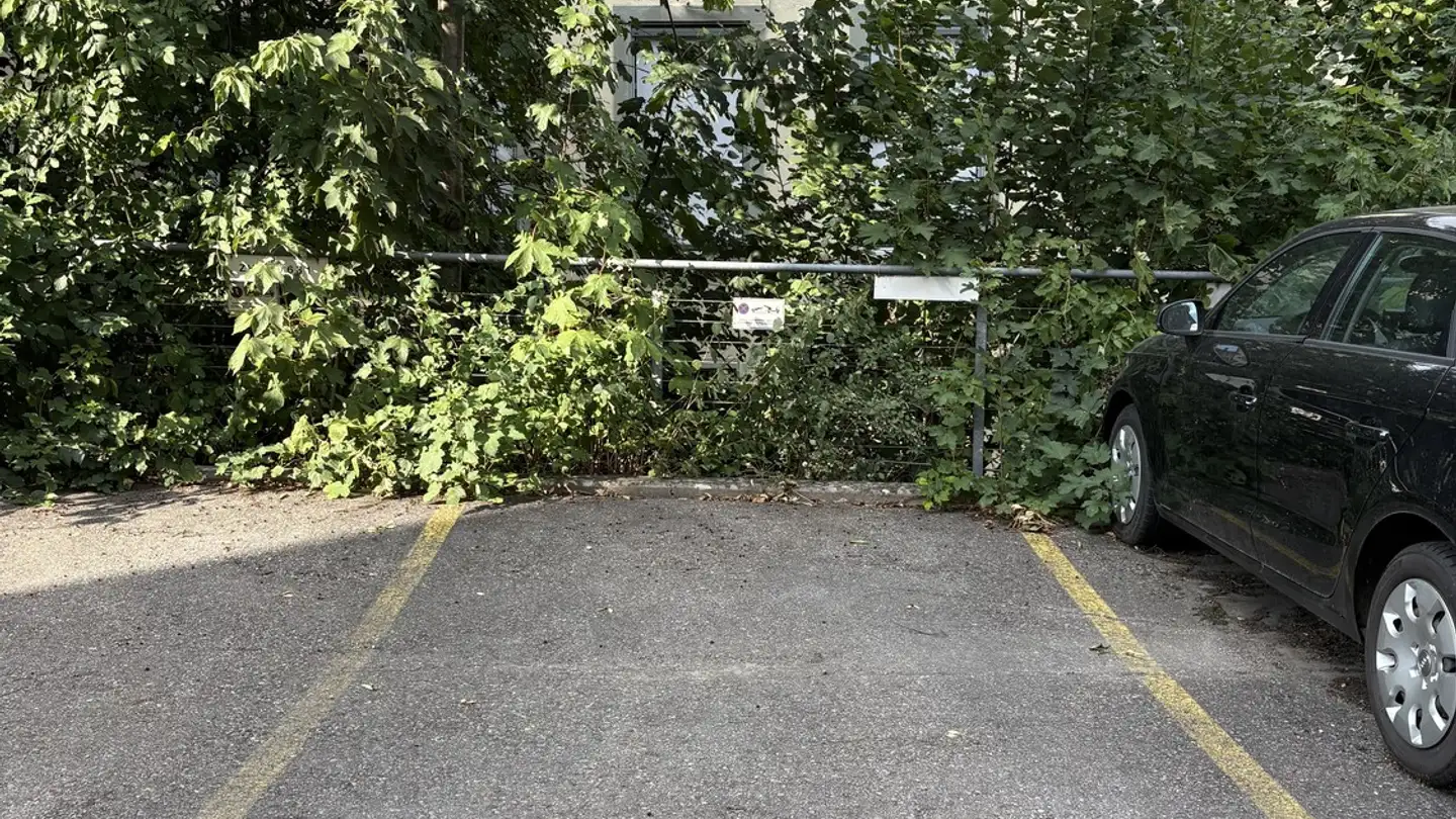 Place de parking extérieure à louer - Büelrainstrasse 1, 8400 Winterthur