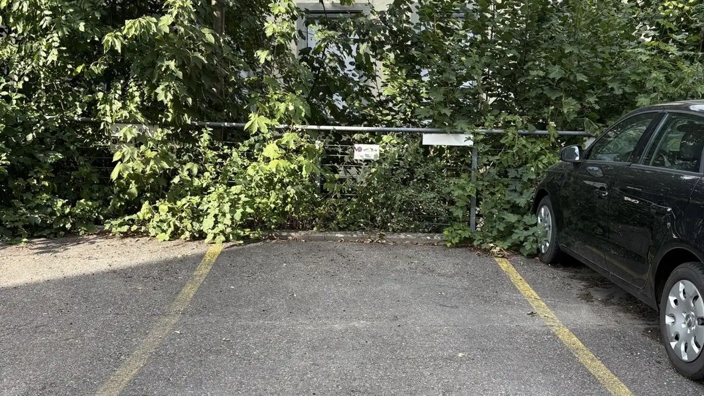 Place de parking extérieure à louer - Büelrainstrasse 3, 8400 Winterthur