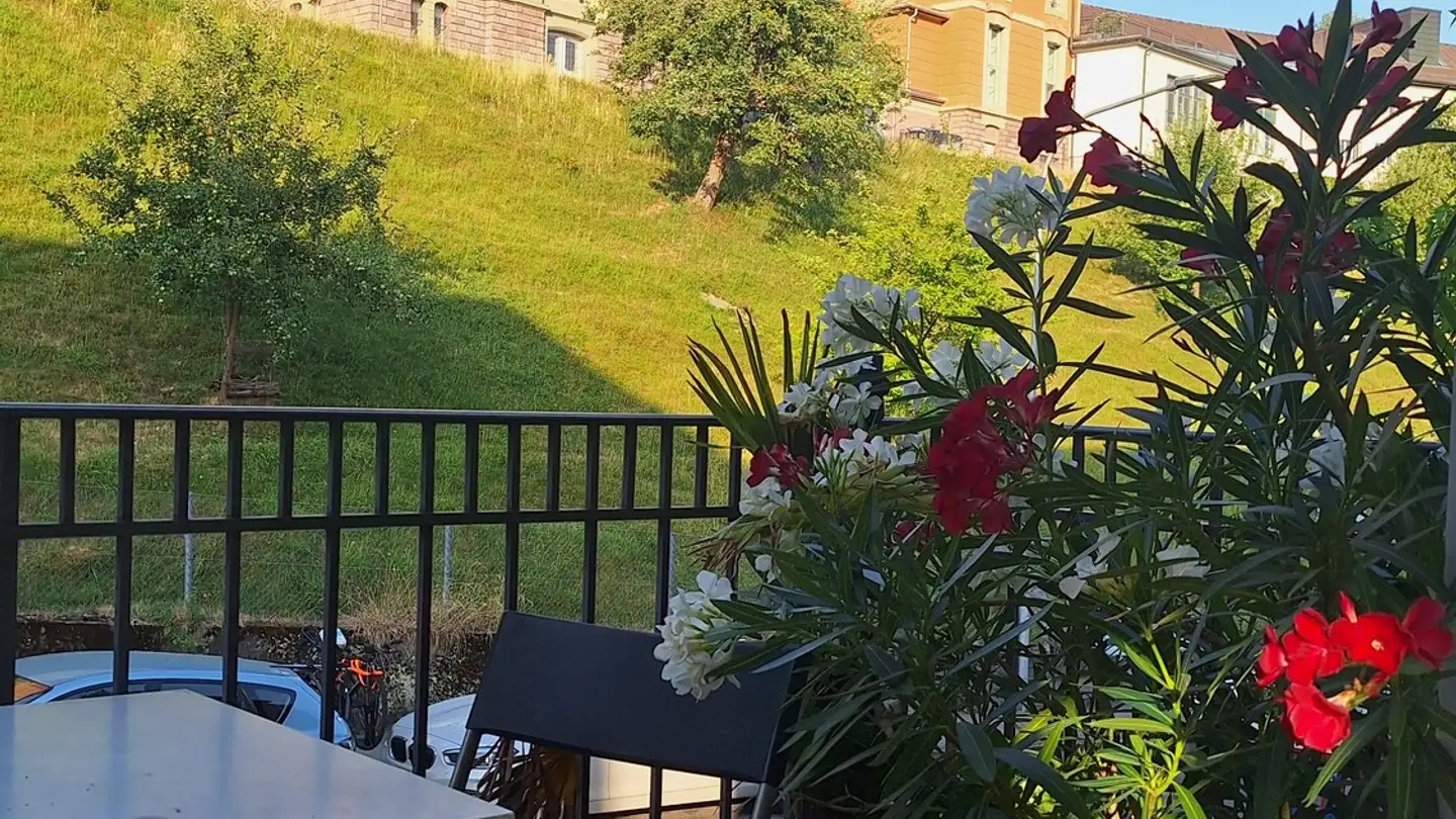 Appartamento in affitto - Landoltstrasse 91, 3007 Bern - Foto 2