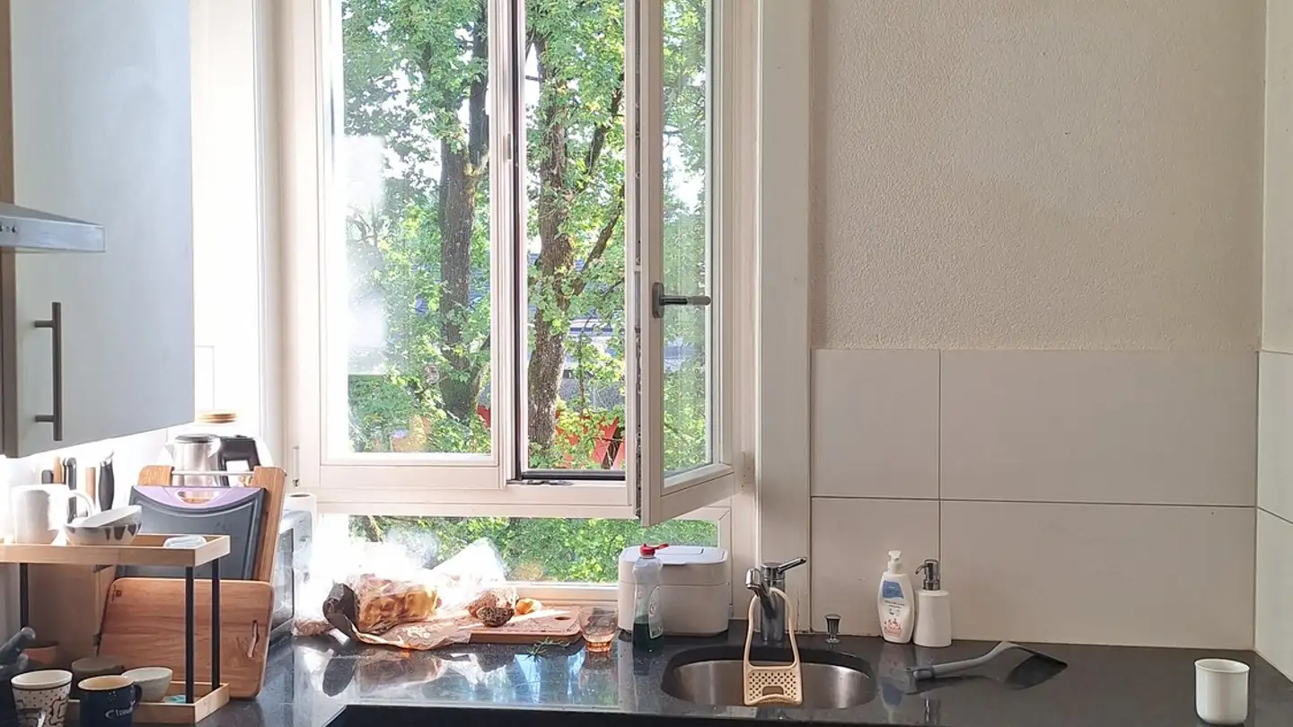 Appartamento in affitto - Landoltstrasse 91, 3007 Bern - Foto 3