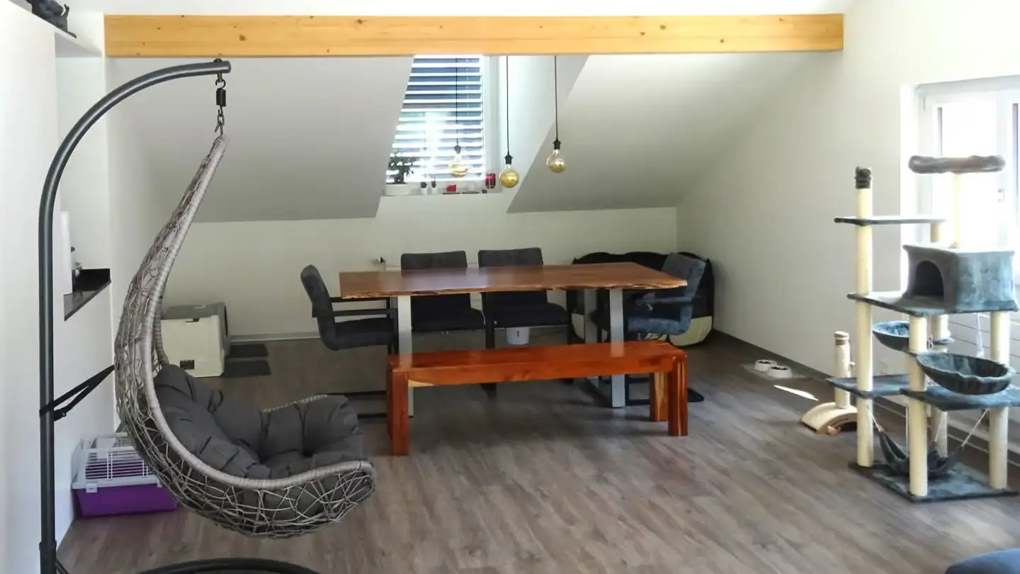 Appartamento in affitto - Auenrainstrasse 24, 8406 Winterthur - Foto 4